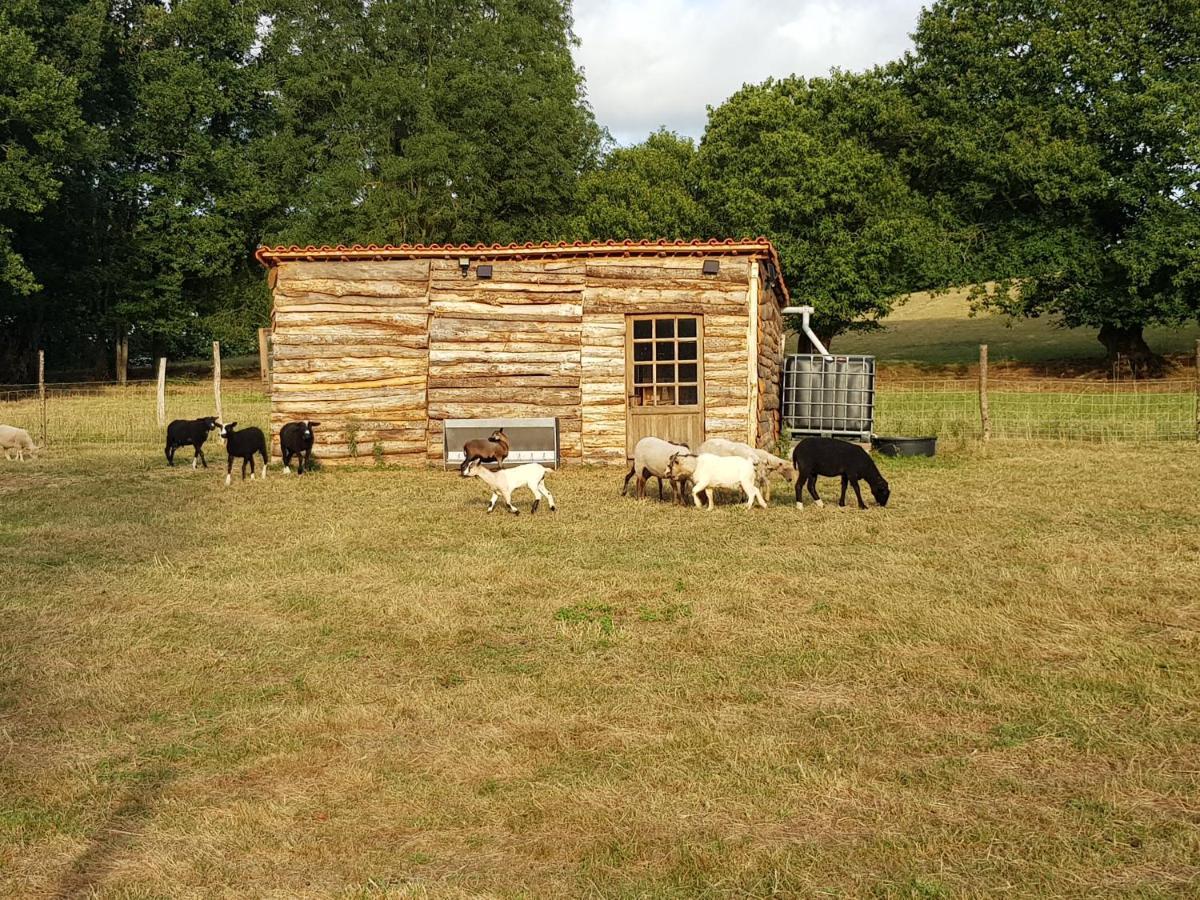 Et D'hotes Du Petit Moulin Bed & Breakfast *