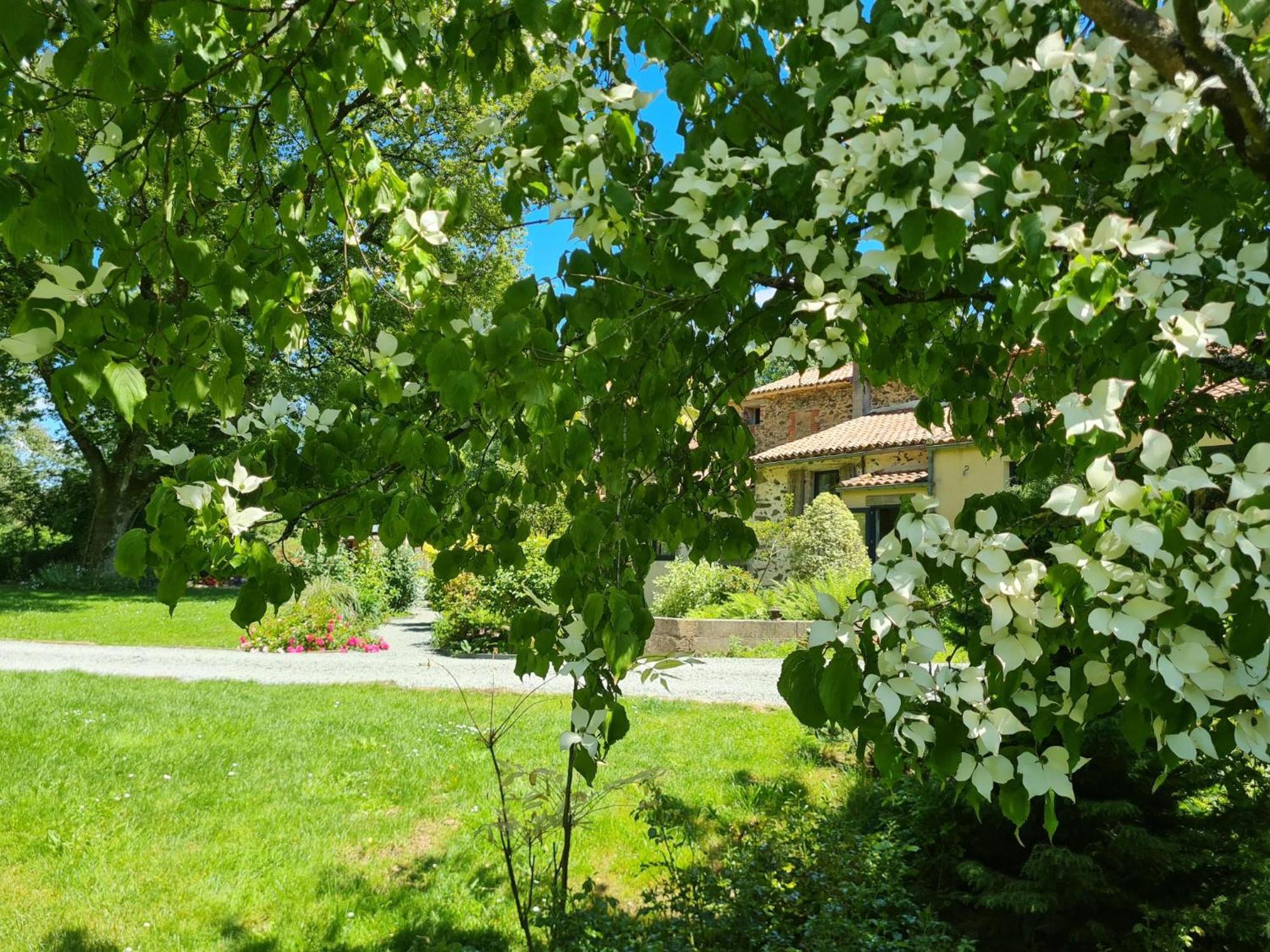 Et D'hotes Du Petit Moulin Réaumur